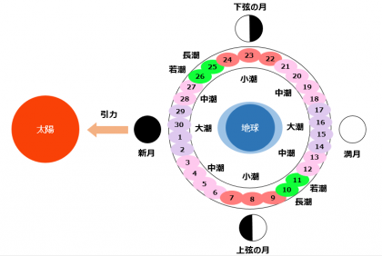 潮回り図